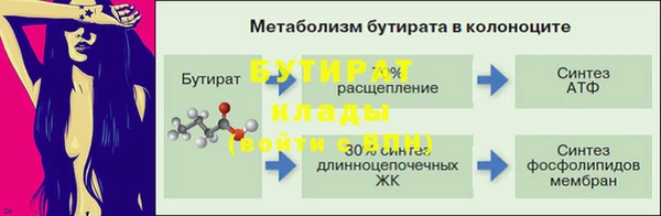 стаф Бородино